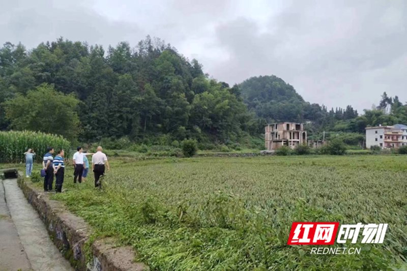隆回农用物资:农业发展的坚强后盾